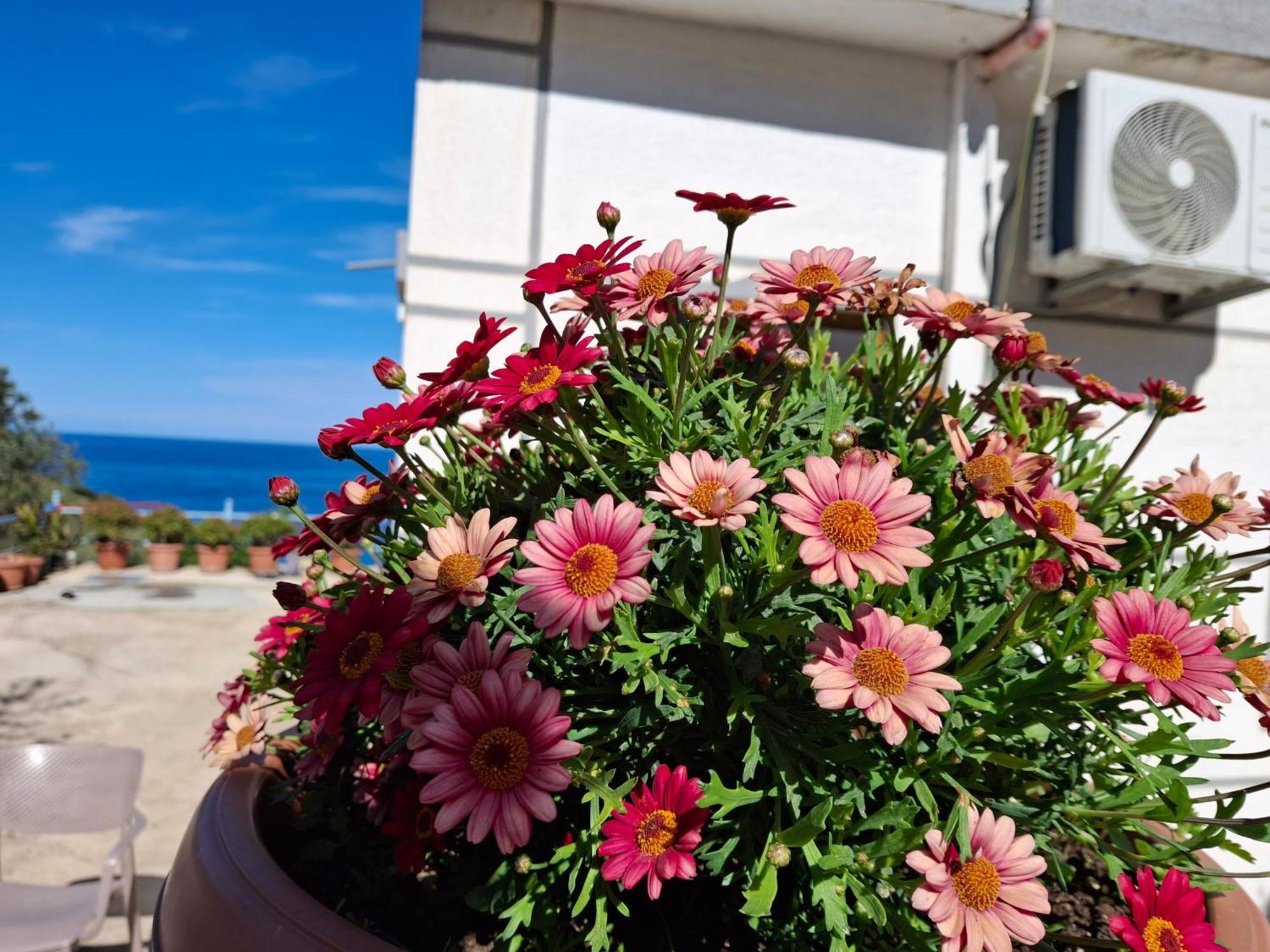 דירות קסאמיל Amar Seaside מראה חיצוני תמונה